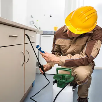 For the Home Pest2Kill offer professional targeted treatments to effectively eradicate unwanted pests from your home.
