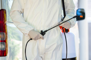 Pest Control Services In Clayhall | Pest2Kill